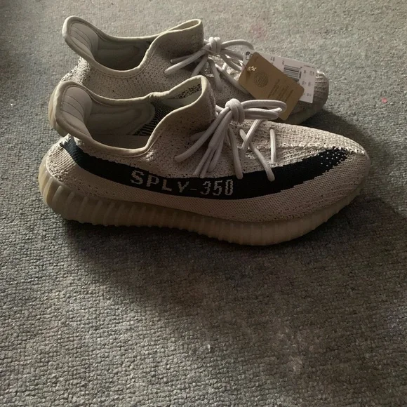 Yeezys slate 350